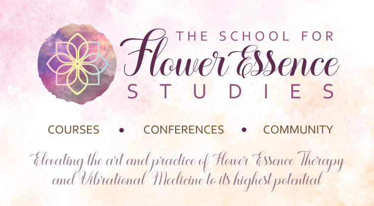 the School for Flower Essence Studies banner